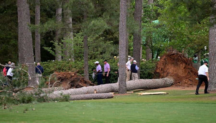 Fear at Augusta Masters, two trees fall near the audience