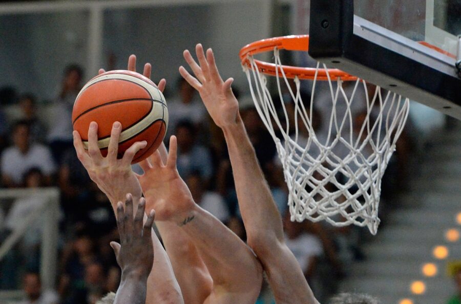 Basketball, Champions League: four Italians, two start from preliminaries