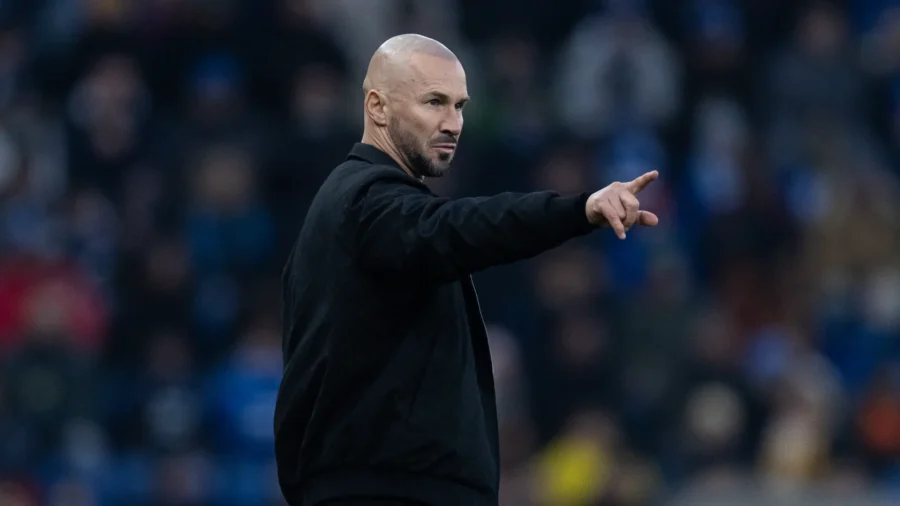 Bundesliga 2025-2026: Mainz-Hoffenheim, the likely lineups